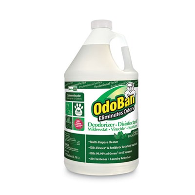 ODO BAN CONCENTRATE ODOR ELIMINATOR